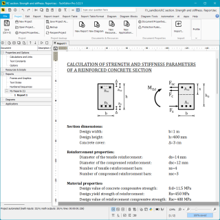 0037. Calculation of reinforced concrete section for strength and stiffness (report template)